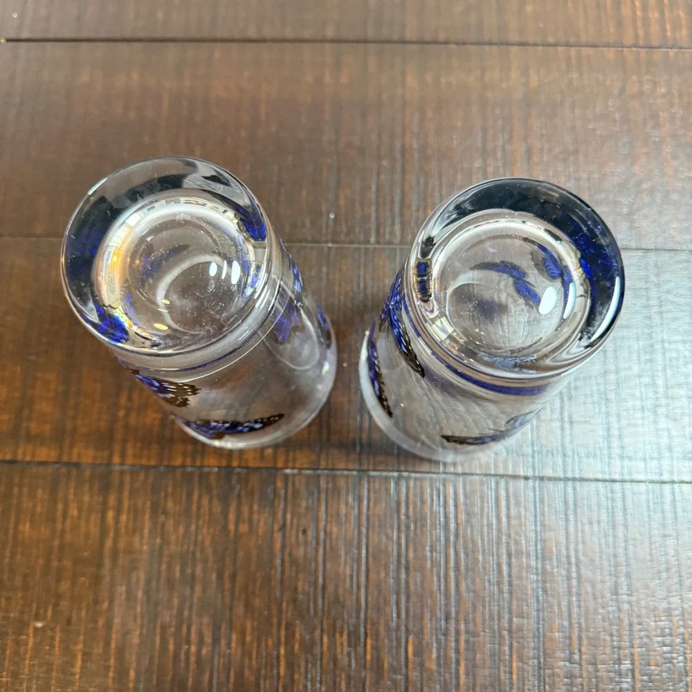 Painted Blue Butterfly Set‎ of 2 Nature Inspired Drinking Pint Glasses Fairycore